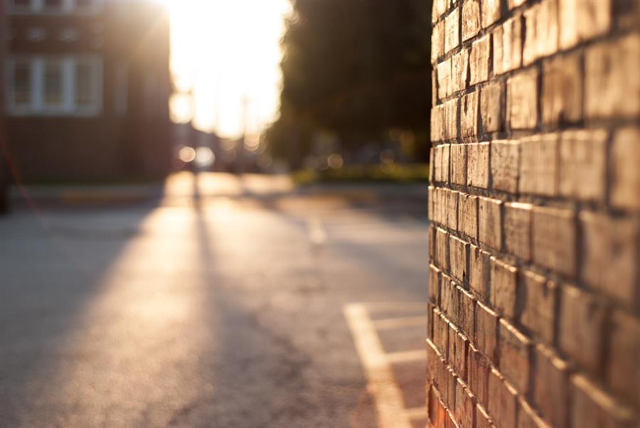 Outdoor brick wall with a sunny neighbourhood in the background.