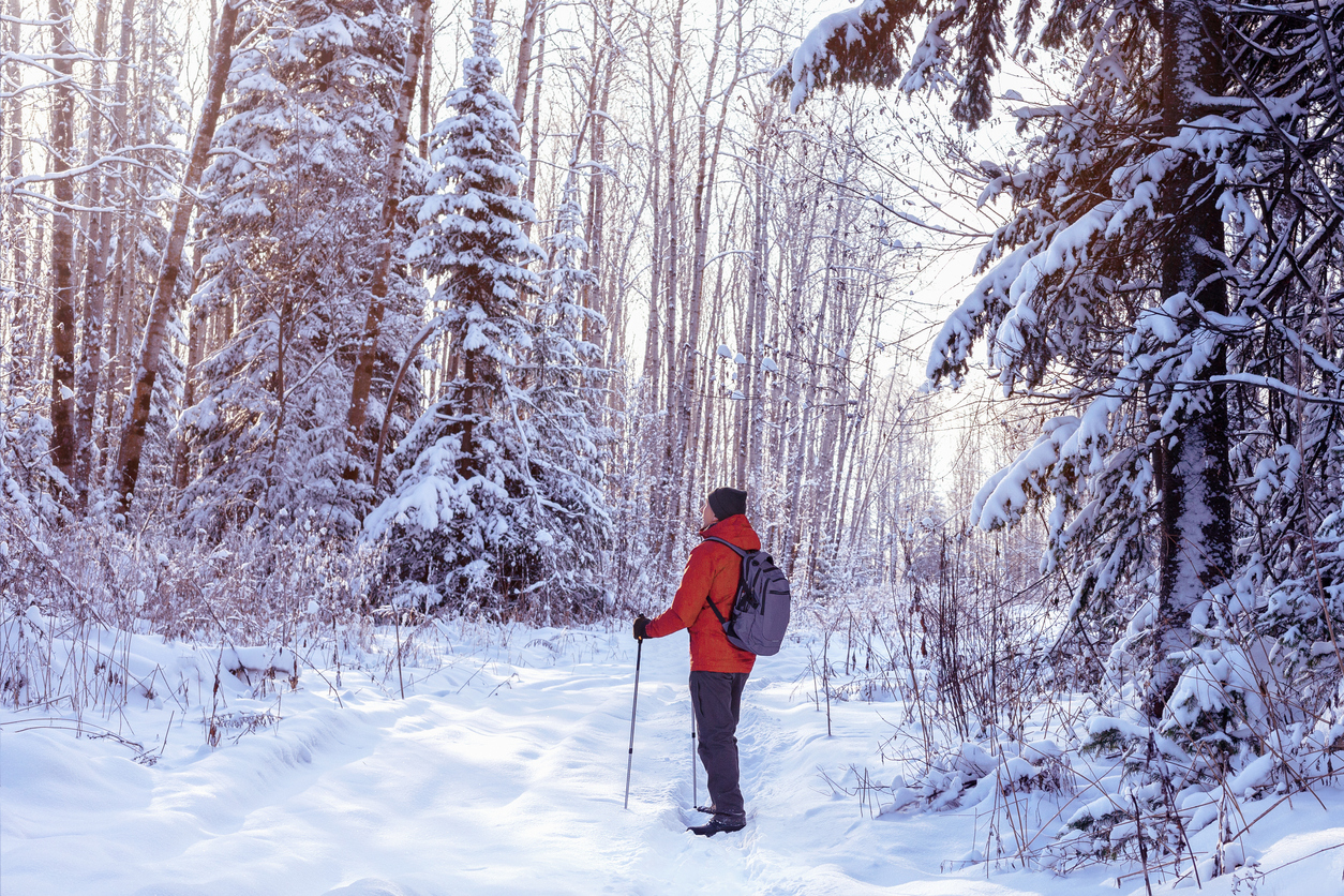 January Jaunts:  National Parks That Beat the Winter Blues