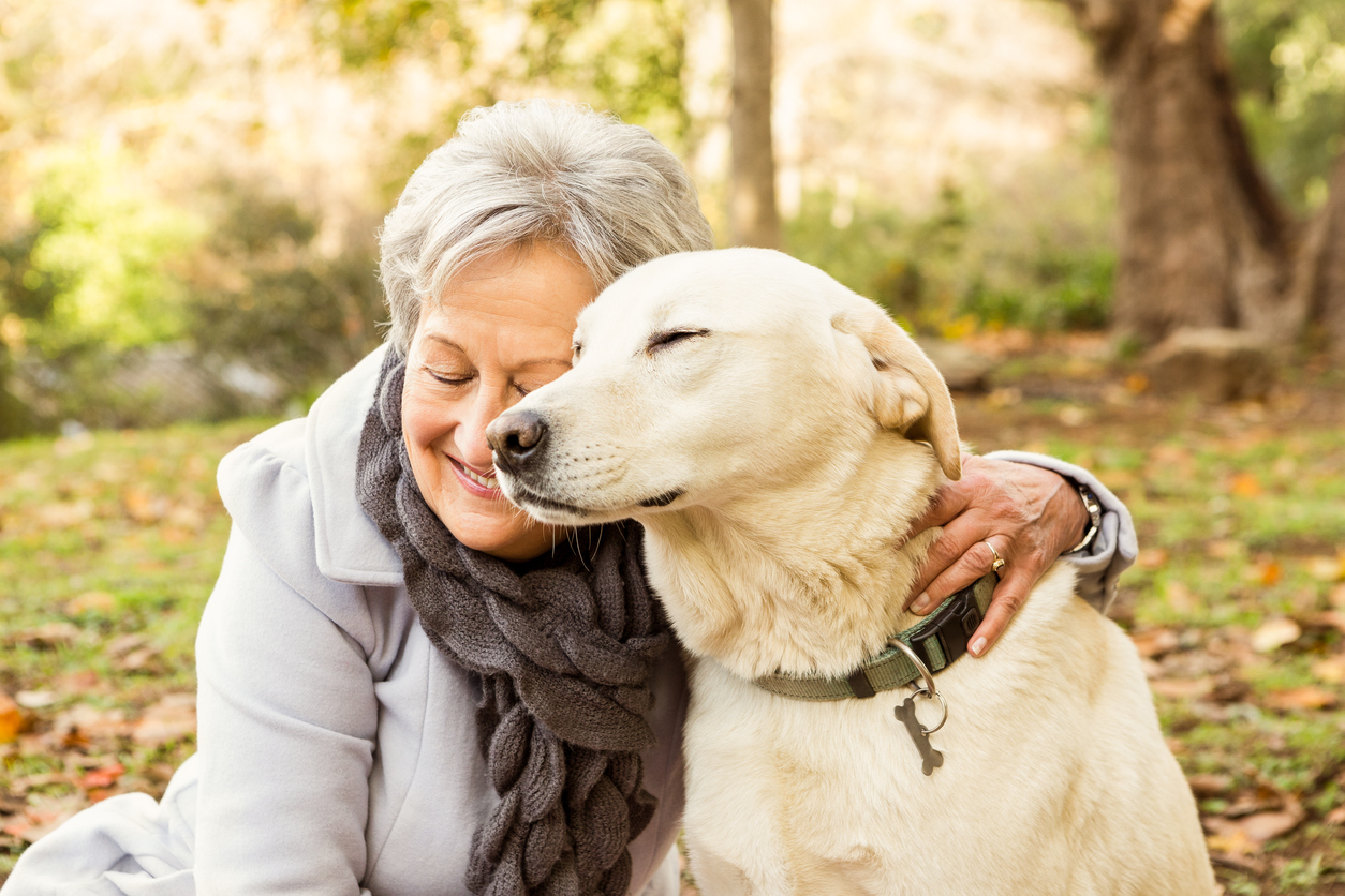 Companion animals: can they alleviate loneliness among older adults?