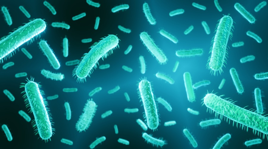 3-D bacterium associated with sepsis