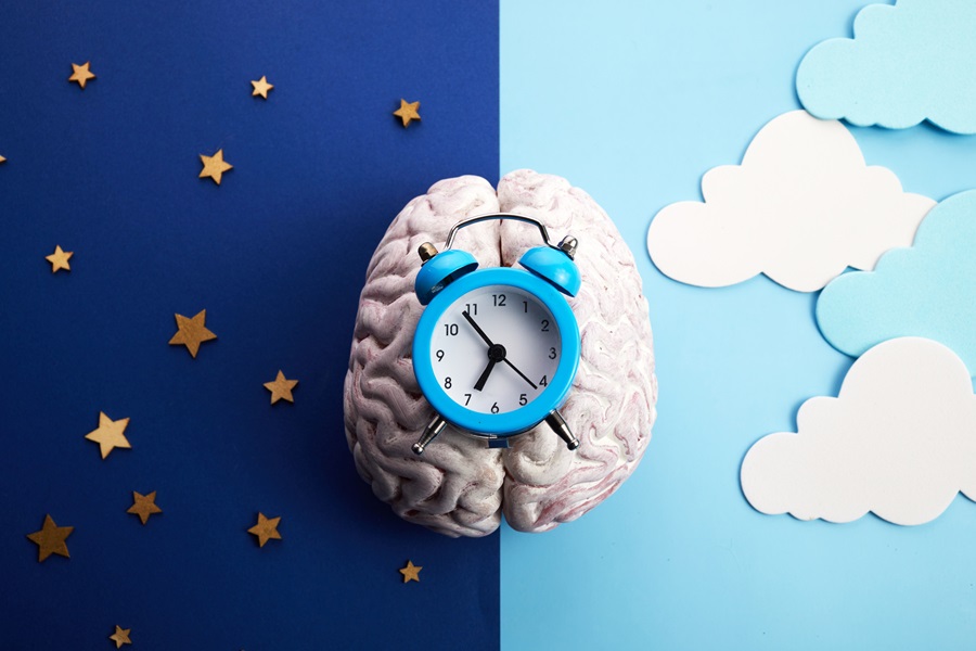 Image of brain and clock signifying circadian rhythm