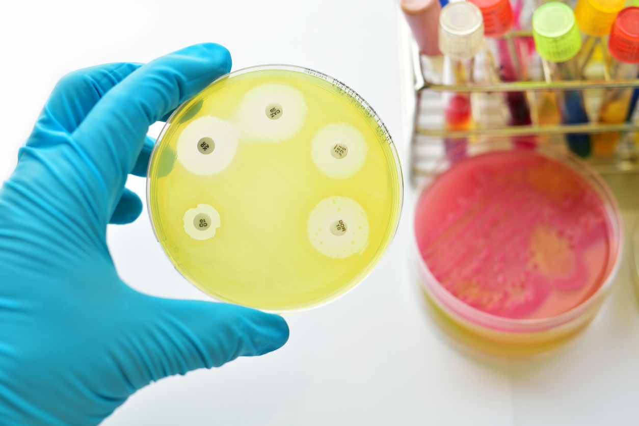 Antimicrobial resistance: What is it and why should you care?