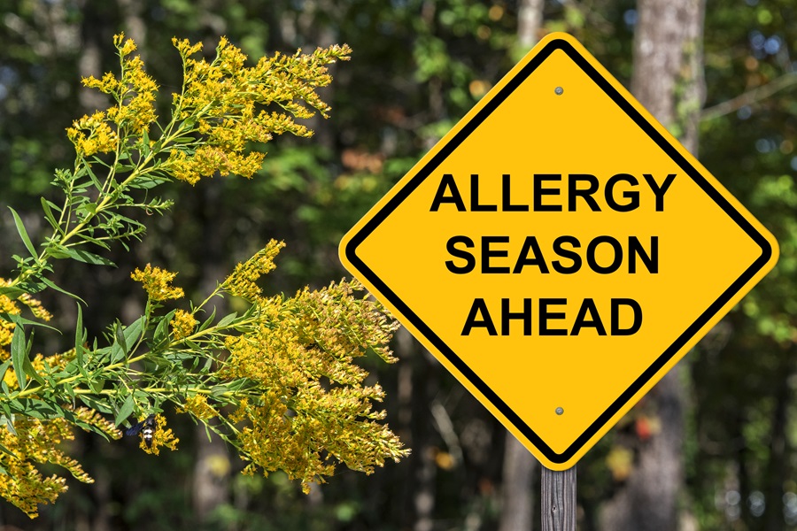 Caution sign on street post with words 'Allergy Season Ahead' with ragweed plants in the background