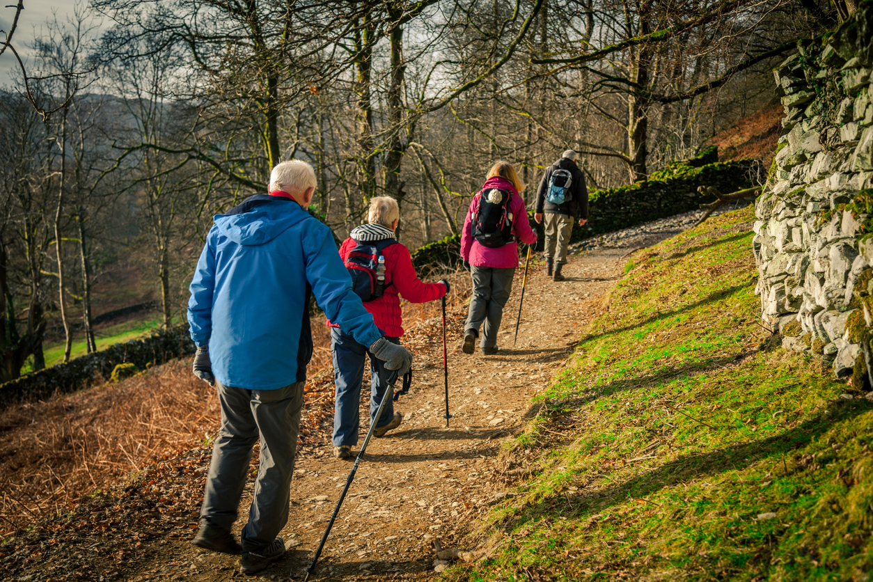 “You’ve got a friend in me”: Can your peers help you keep active? 