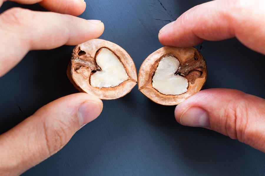 Hands holding a walnut split in half and in the shape of a heart. 